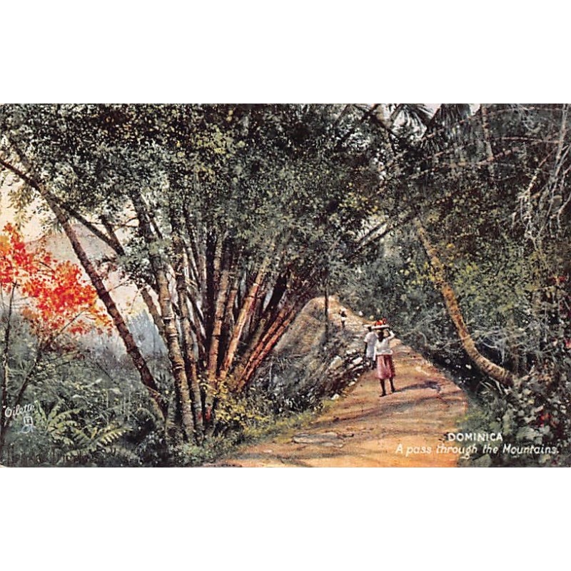 Rare collectable postcards of DOMINICA. Vintage Postcards of DOMINICA