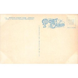 Rare collectable postcards of JAMAICA. Vintage Postcards of JAMAICA