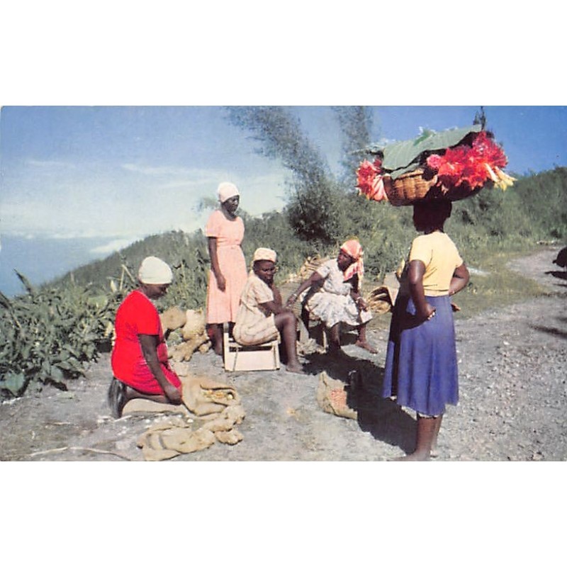 Rare collectable postcards of JAMAICA. Vintage Postcards of JAMAICA