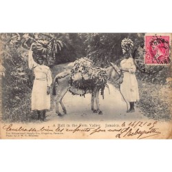 Rare collectable postcards of JAMAICA. Vintage Postcards of JAMAICA