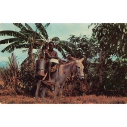 Rare collectable postcards of JAMAICA. Vintage Postcards of JAMAICA