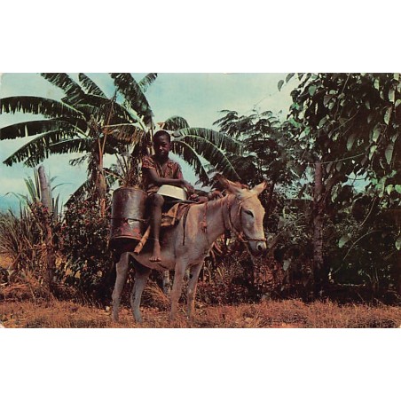 Rare collectable postcards of JAMAICA. Vintage Postcards of JAMAICA