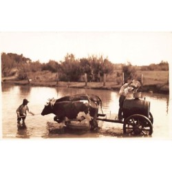 Rare collectable postcards of MEXICO. Vintage Postcards of MEXICO