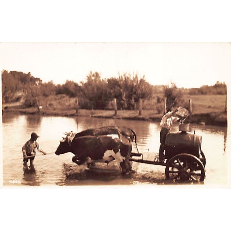 Rare collectable postcards of MEXICO. Vintage Postcards of MEXICO