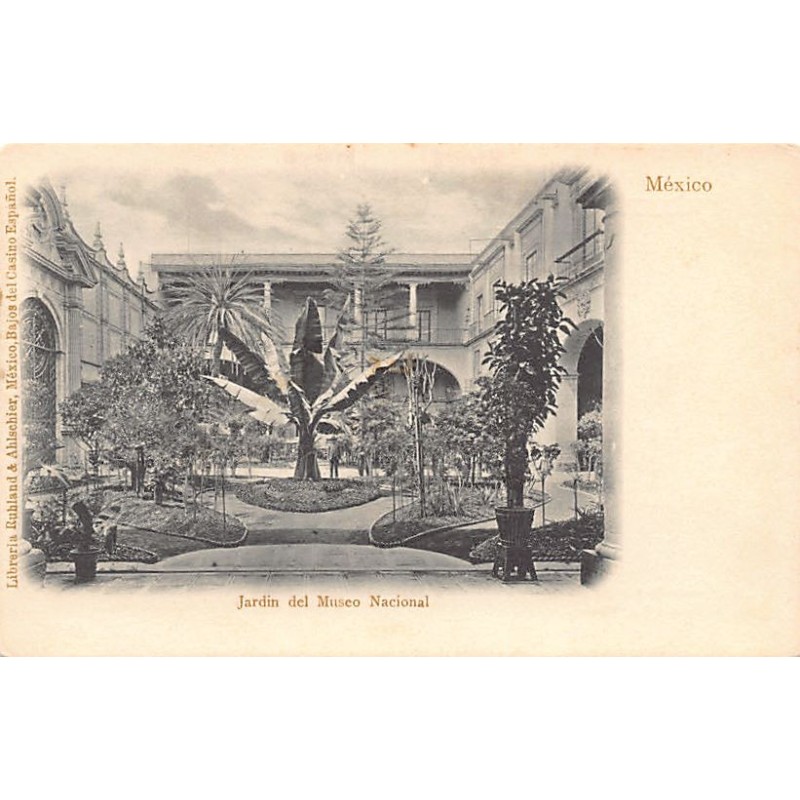 Rare collectable postcards of MEXICO. Vintage Postcards of MEXICO