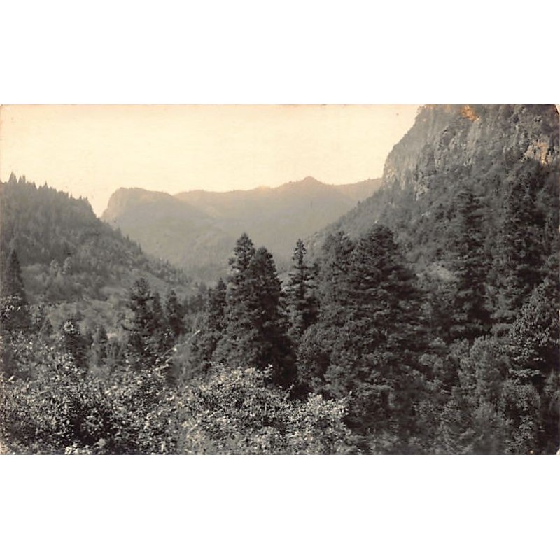 Rare collectable postcards of MEXICO. Vintage Postcards of MEXICO