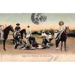 Rare collectable postcards of MEXICO. Vintage Postcards of MEXICO