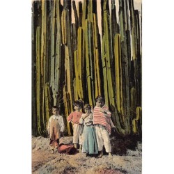 Rare collectable postcards of MEXICO. Vintage Postcards of MEXICO