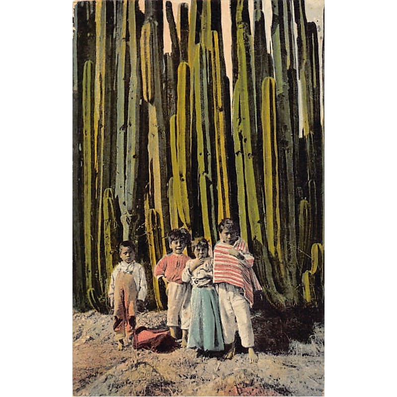 Rare collectable postcards of MEXICO. Vintage Postcards of MEXICO