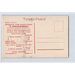 Rare collectable postcards of MEXICO. Vintage Postcards of MEXICO