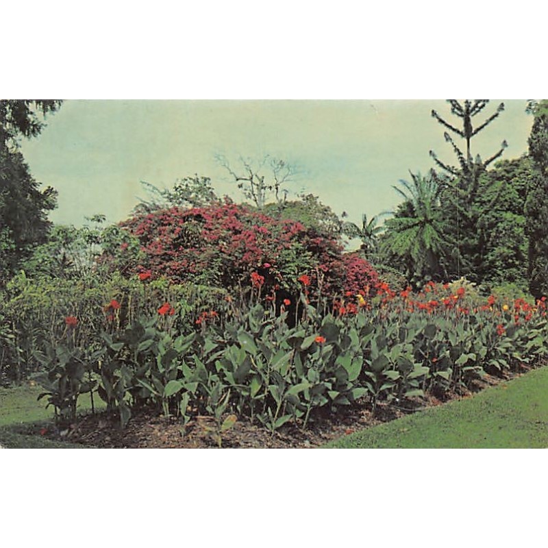 Rare collectable postcards of TRINIDAD & TOBAGO. Vintage Postcards of TRINIDAD & TOBAGO