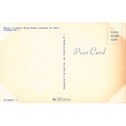 Rare collectable postcards of TRINIDAD & TOBAGO. Vintage Postcards of TRINIDAD & TOBAGO