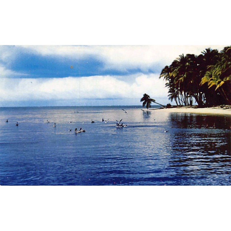 Rare collectable postcards of TRINIDAD & TOBAGO. Vintage Postcards of TRINIDAD & TOBAGO