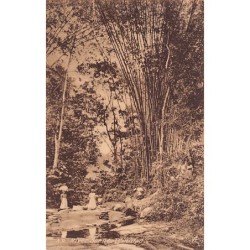 Rare collectable postcards of TRINIDAD & TOBAGO. Vintage Postcards of TRINIDAD & TOBAGO