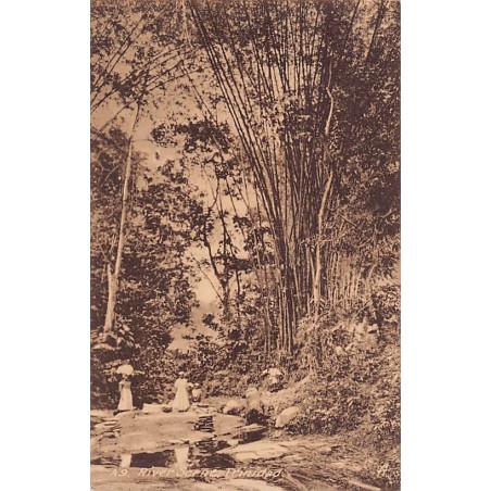 Rare collectable postcards of TRINIDAD & TOBAGO. Vintage Postcards of TRINIDAD & TOBAGO