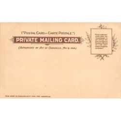 Rare collectable postcards of USA. Vintage Postcards of USA