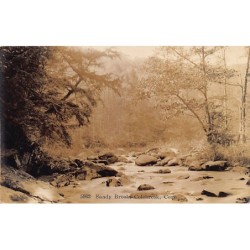 Rare collectable postcards of USA. Vintage Postcards of USA