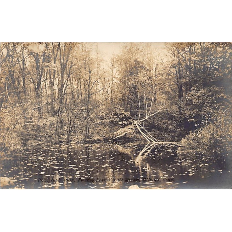 Rare collectable postcards of USA. Vintage Postcards of USA