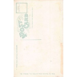 Rare collectable postcards of USA. Vintage Postcards of USA