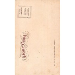 Rare collectable postcards of USA. Vintage Postcards of USA