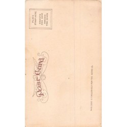 Rare collectable postcards of USA. Vintage Postcards of USA