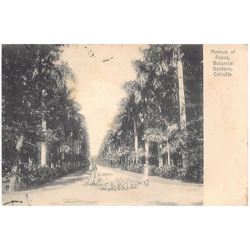 Rare collectable postcards of INDIA. Vintage Postcards of INDIA