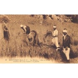 Rare collectable postcards of LEBANON. Vintage Postcards of LEBANON