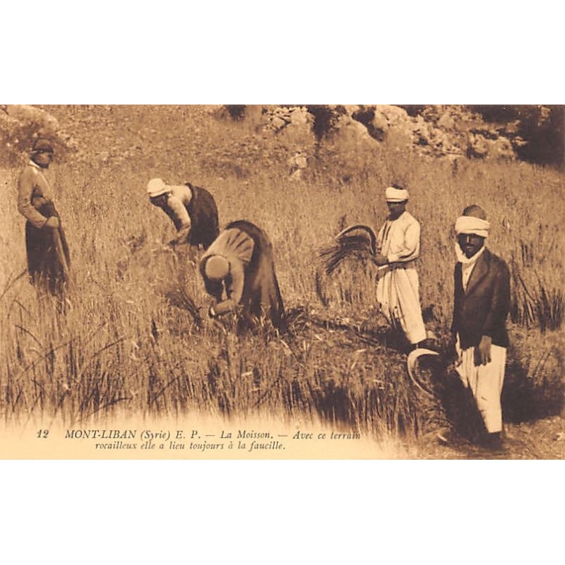 Rare collectable postcards of LEBANON. Vintage Postcards of LEBANON
