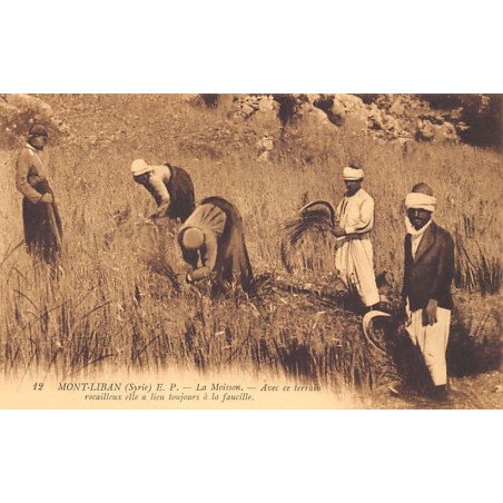 Rare collectable postcards of LEBANON. Vintage Postcards of LEBANON