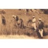 Rare collectable postcards of LEBANON. Vintage Postcards of LEBANON