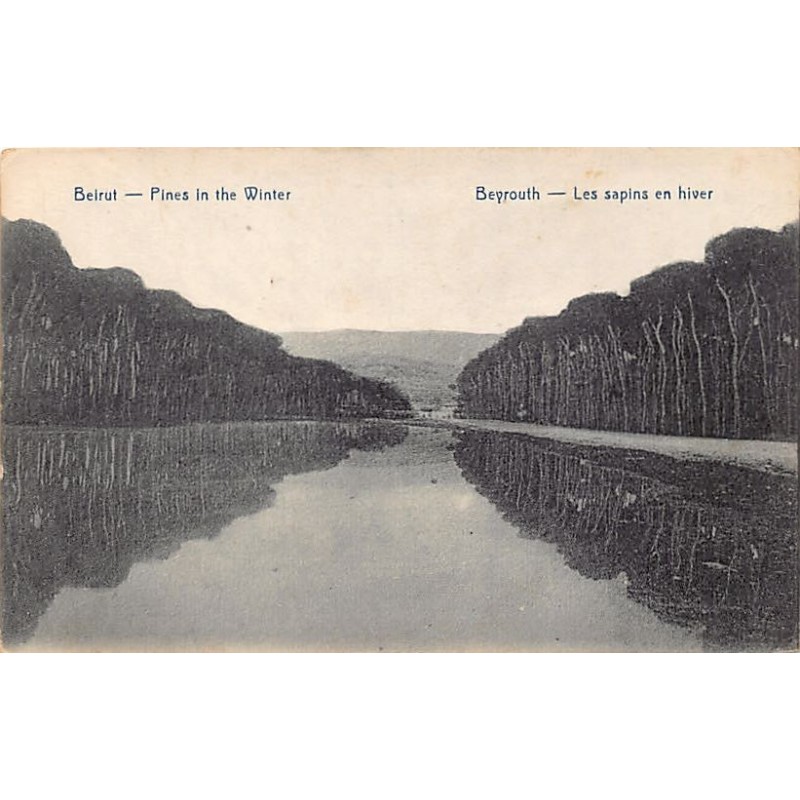 Rare collectable postcards of LEBANON. Vintage Postcards of LEBANON
