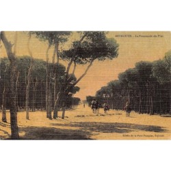 Rare collectable postcards of LEBANON. Vintage Postcards of LEBANON