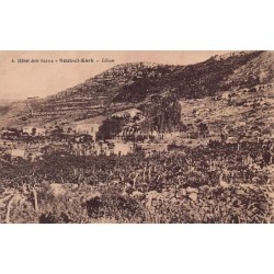 Rare collectable postcards of LEBANON. Vintage Postcards of LEBANON