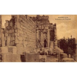Rare collectable postcards of LEBANON. Vintage Postcards of LEBANON