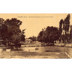 Rare collectable postcards of LEBANON. Vintage Postcards of LEBANON