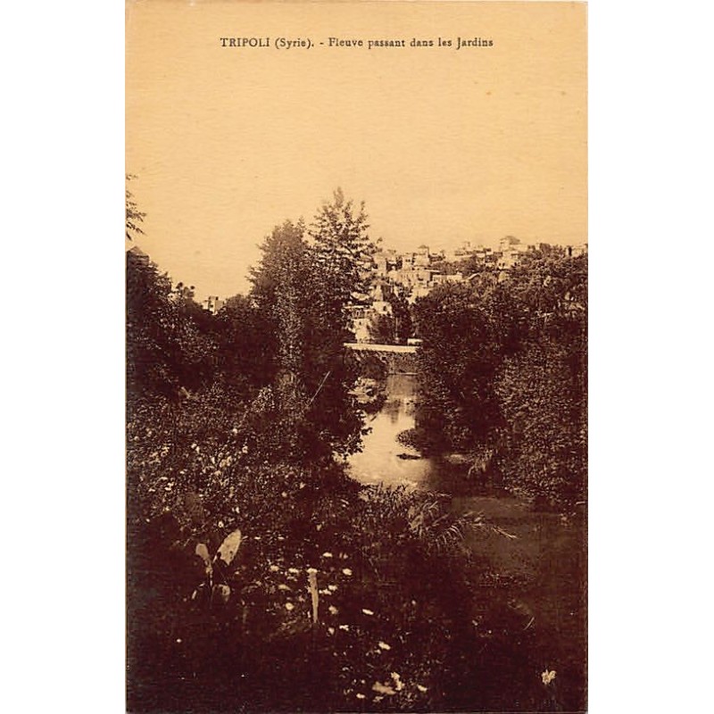Rare collectable postcards of LEBANON. Vintage Postcards of LEBANON