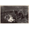 Rare collectable postcards of LEBANON. Vintage Postcards of LEBANON