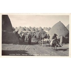 Rare collectable postcards of SYRIA. Vintage Postcards of SYRIA