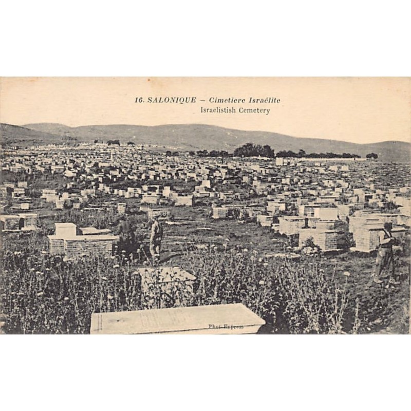Rare collectable postcards of JUDAICA. Vintage Postcards of JUDAICA
