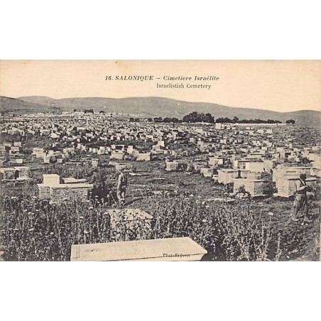 Rare collectable postcards of JUDAICA. Vintage Postcards of JUDAICA