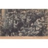 Rare collectable postcards of NETHERLANDS Nederland. Vintage Postcards of NETHERLANDS Nederland
