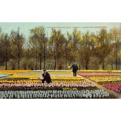 Rare collectable postcards of NETHERLANDS Nederland. Vintage Postcards of NETHERLANDS Nederland
