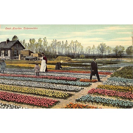 Rare collectable postcards of NETHERLANDS Nederland. Vintage Postcards of NETHERLANDS Nederland