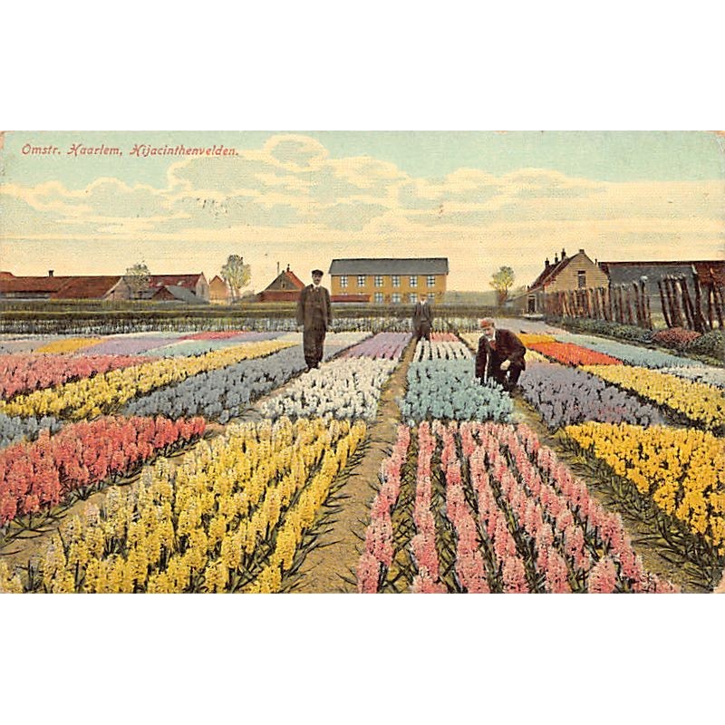 Rare collectable postcards of NETHERLANDS Nederland. Vintage Postcards of NETHERLANDS Nederland