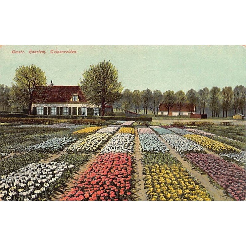 Rare collectable postcards of NETHERLANDS Nederland. Vintage Postcards of NETHERLANDS Nederland