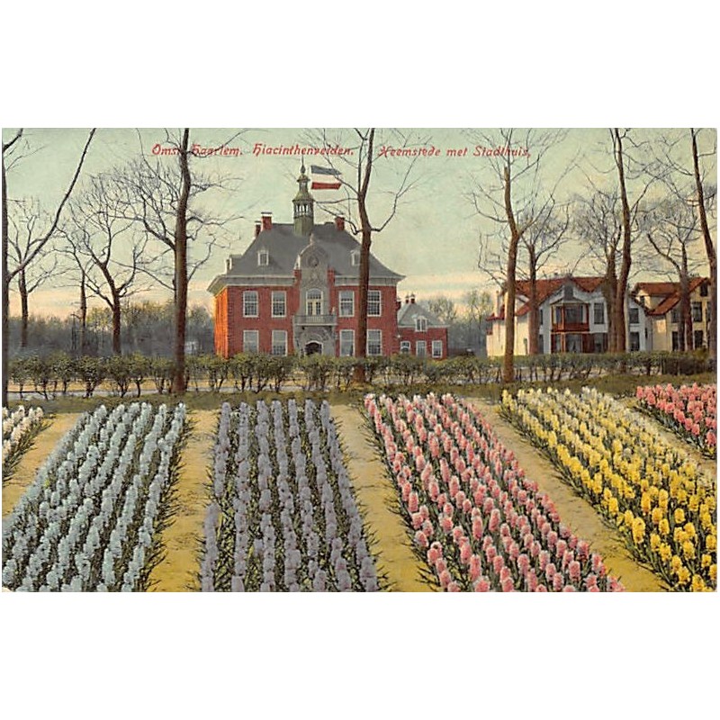 Rare collectable postcards of NETHERLANDS Nederland. Vintage Postcards of NETHERLANDS Nederland