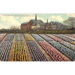 Rare collectable postcards of NETHERLANDS Nederland. Vintage Postcards of NETHERLANDS Nederland