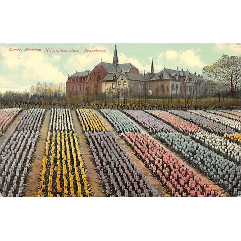 Rare collectable postcards of NETHERLANDS Nederland. Vintage Postcards of NETHERLANDS Nederland