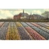 Rare collectable postcards of NETHERLANDS Nederland. Vintage Postcards of NETHERLANDS Nederland