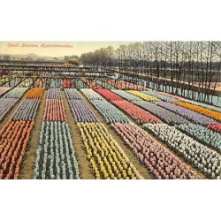 Rare collectable postcards of NETHERLANDS Nederland. Vintage Postcards of NETHERLANDS Nederland